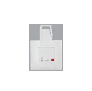 Anchor Penta Modular 2 Module 32A DP Switch Unit with Key Tag White 65701