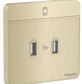 Schneider AvatarOn USB charger 2 type A 2.1 A Metal Gold Hairline E8332USB_GH_G8
