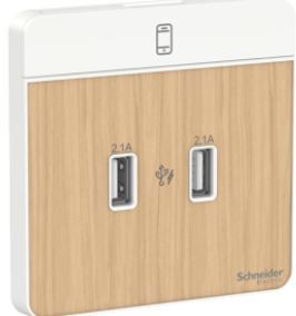 Schneider AvatarOn USB charger 2 type A 2.1 A Light Wood E8332USB_LW_G8