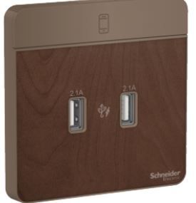 Schneider AvatarOn USB charger 2 type A 2.1 A Wood E8332USB_WD_G8