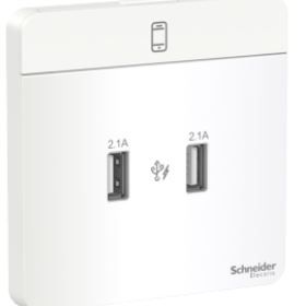 Schneider AvatarOn USB charger 2 type A 2.1 A White E8332USB_WE_G8