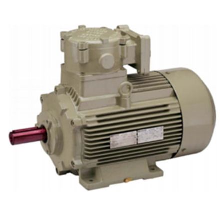 Hindustan Electric Motors 0.5 hp 6 Pole Foot 2FE2 080-0603