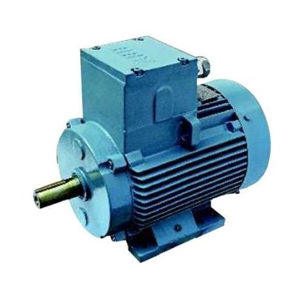 Standard Flame Proof Motor Flame Proof Motors