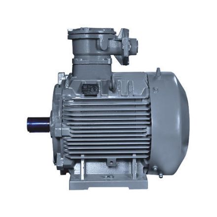 Standard Flame Proof Motor Flame Proof Motors