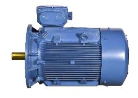 Bharat Bijlee 3 Phase 3HP 2.2kW 4 Pole 415 V Foot Mounted General Purpose Induction Motor