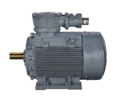 Bharat Bijlee 3 Phase 0.75HP 0.55kW 2 Pole 415 V Foot Mounted General Purpose Induction Motor
