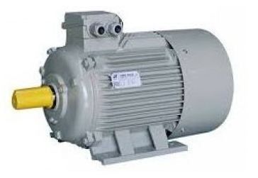 Eagle 2 HP Single Phase 2880 RPM Electric Induction Motor