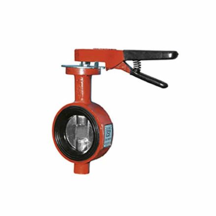Sant Valves 65 mm Cast Iron Butterfly Valve CR 23