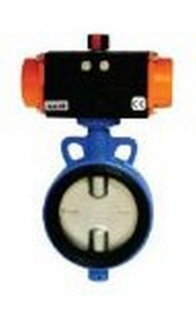 TMC Pneumatics 10 Inch Actuator Valve TBF-250