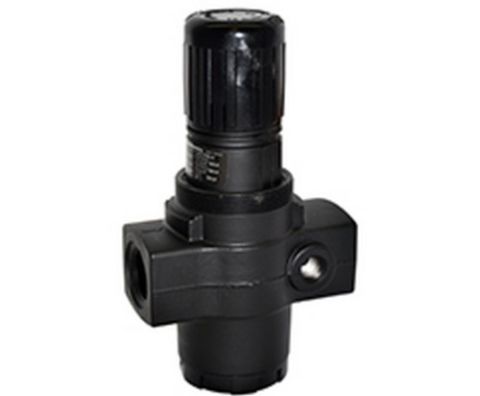 Norgren R17-800-NNLG General Purpose Regulator G1