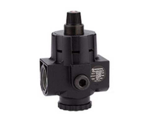Norgren High Flow Manual Regulator Without Gauge 0.7-8bar R24-800-RNLG