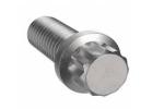 12-Point Flange Head Cap Screws