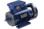 Brake Motors