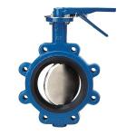 Butterfly Valve