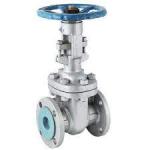 Cast Steel Valves