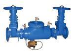 Check Valves and Backflow Preventers
