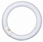 Circular Fluorescent Lamps