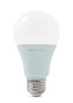 Compact LED Lamps and Bulbs