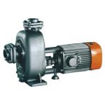 Dewatering Sump Pumps