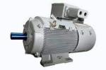 Electrical Motors