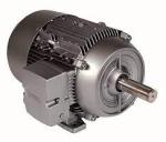 Energy Efficient Motors