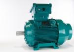Flame Proof Motors