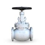Globe Valve