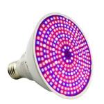 Grow Lights