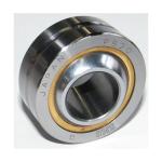 IKO Bearing Japan