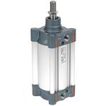 Pneumatic