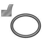 Rod Wiper Seals