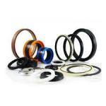 Seal & Seal Kit