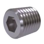 Socket Screw Plugs