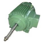 Special Purpose Motor