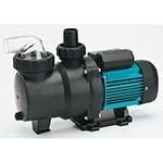 Swimming Pool Pumps