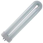 U-Shaped Fluorescent Lamps