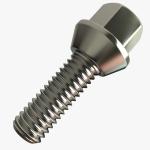 Wheel Bolts