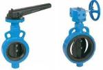 Butterfly Valve